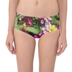 Summer Lantana W Bee Mid-waist Bikini Bottoms by Riverwoman