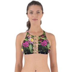 Summer Lantana W Bee Perfectly Cut Out Bikini Top