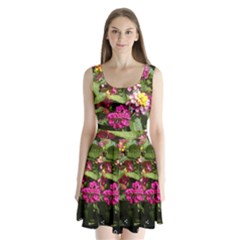 Summer Lantana W Bee Split Back Mini Dress  by Riverwoman