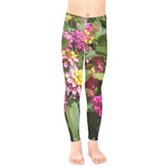 Summer Lantana W Bee Kids  Legging by Riverwoman