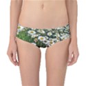 Columbus Commons Shasta Daisies Classic Bikini Bottoms View1