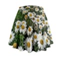 Columbus Commons Shasta Daisies Mini Flare Skirt View2