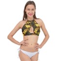 Echinacea paradoxa Cross Front Halter Bikini Top View1