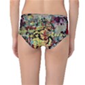 Little Bird Mid-Waist Bikini Bottoms View2