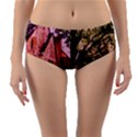 Hot Day In  Dallas 6 Reversible Mid-Waist Bikini Bottoms View1