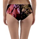 Hot Day In  Dallas 6 Reversible Mid-Waist Bikini Bottoms View2