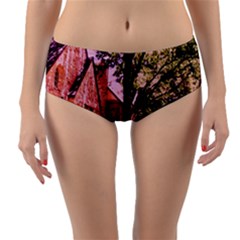 Hot Day In  Dallas 6 Reversible Mid-waist Bikini Bottoms by bestdesignintheworld