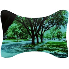 Hot Day In Dallas 5 Seat Head Rest Cushion by bestdesignintheworld