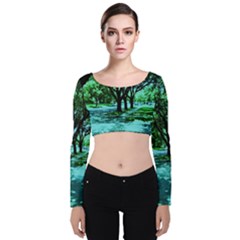 Hot Day In Dallas 5 Velvet Long Sleeve Crop Top by bestdesignintheworld