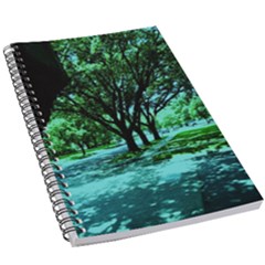 Hot Day In Dallas 5 5 5  X 8 5  Notebook by bestdesignintheworld