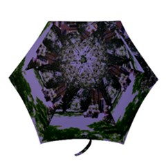 Hot Day In Dallas 4 Mini Folding Umbrellas by bestdesignintheworld