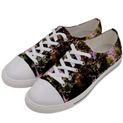 Hot Day In Dallas 3 Women s Low Top Canvas Sneakers