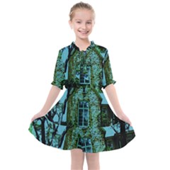 Hot Day In Dallas 8 Kids  All Frills Chiffon Dress by bestdesignintheworld