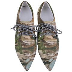 Glacier National Park Scenic View Women s Pointed Oxford Shoes by Sudhe