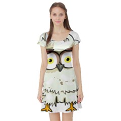 Owl Bird Eyes Cartoon Good Short Sleeve Skater Dress by Sudhe