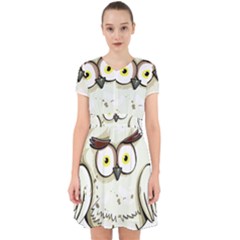 Owl Bird Eyes Cartoon Good Adorable In Chiffon Dress by Sudhe