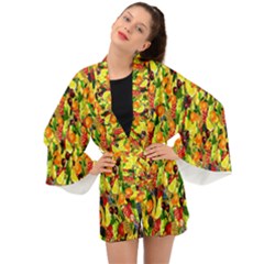 Colorful 65 Long Sleeve Kimono