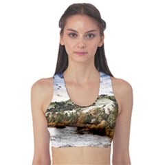 River Hills Evening California Sports Bra by Simbadda