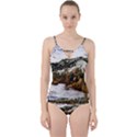 River Hills Evening California Cut Out Top Tankini Set View1