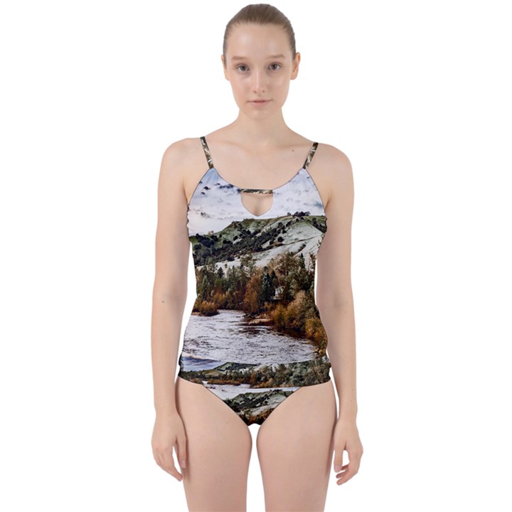 River Hills Evening California Cut Out Top Tankini Set