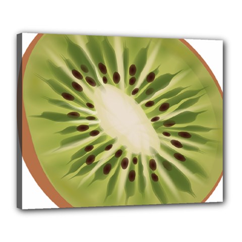 Kiwi Fruit Fresh Green Tasty Food Canvas 20  X 16  (stretched) by Simbadda