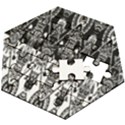 Bw 3 Wooden Puzzle Hexagon View2