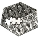 Bw 3 Wooden Puzzle Hexagon View3