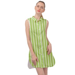 Lime Stripes Sleeveless Shirt Dress