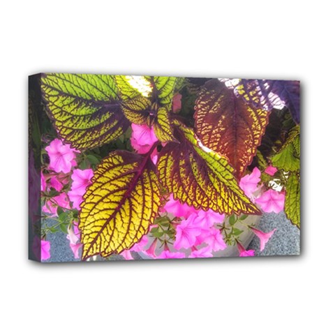 Coleus & Petunia Deluxe Canvas 18  X 12  (stretched) by Riverwoman