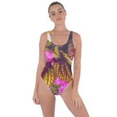 Coleus & Petunia Bring Sexy Back Swimsuit by Riverwoman