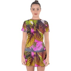 Coleus & Petunia Drop Hem Mini Chiffon Dress by Riverwoman