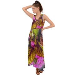 Coleus & Petunia V-neck Chiffon Maxi Dress