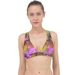 Coleus & Petunia Classic Banded Bikini Top