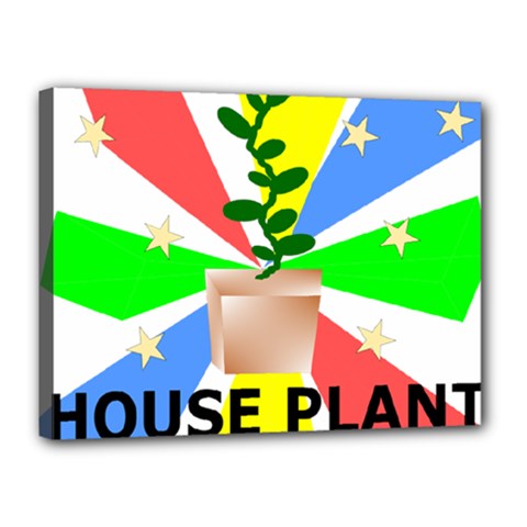 House Plant Canvas 16  X 12  (stretched) by okhismakingart