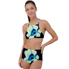 Blue And Yellow Tulip High Waist Tankini Set by okhismakingart