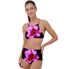 Pink And Red Tulip High Waist Tankini Set by okhismakingart