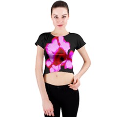 Pink And Red Tulip Crew Neck Crop Top by okhismakingart