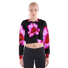 Pink And Red Tulip Cropped Sweatshirt