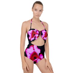 Pink And Red Tulip Scallop Top Cut Out Swimsuit