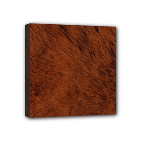 Fur Skin Bear Mini Canvas 4  X 4  (stretched)