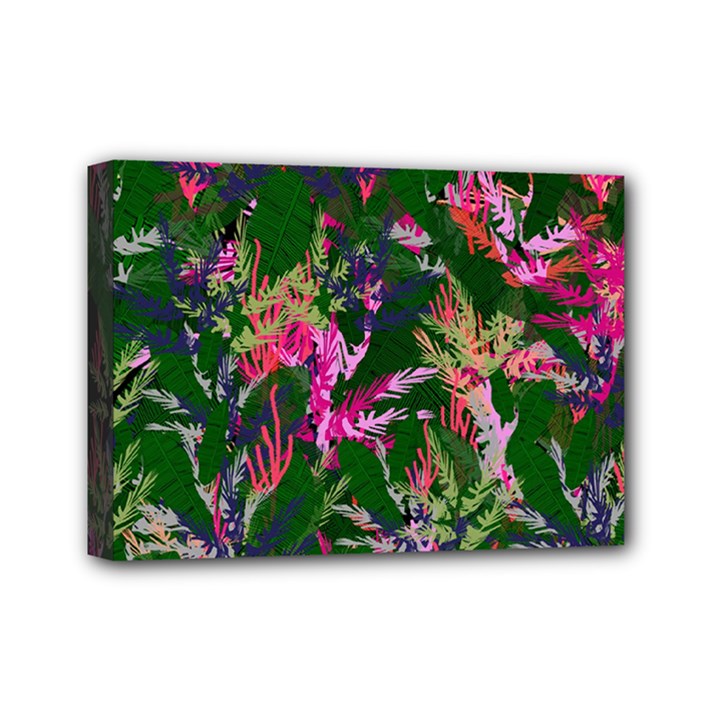 Vibrant Tropical Mini Canvas 7  x 5  (Stretched)