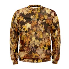 Late October Leaves 3 Men s Sweatshirt by bloomingvinedesign