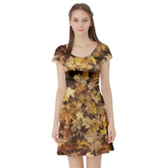 Late October Leaves 3 Short Sleeve Skater Dress by bloomingvinedesign