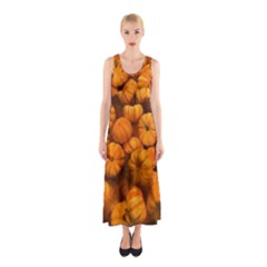 Mini Pumpkins Sleeveless Maxi Dress by bloomingvinedesign