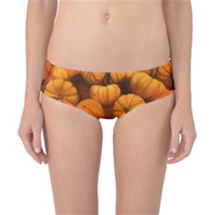 Mini Pumpkins Classic Bikini Bottoms by bloomingvinedesign