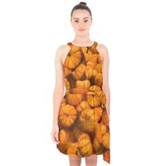 Mini Pumpkins Halter Collar Waist Tie Chiffon Dress by bloomingvinedesign