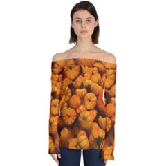 Mini Pumpkins Off Shoulder Long Sleeve Top by bloomingvinedesign