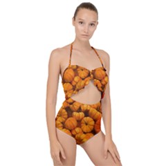 Mini Pumpkins Scallop Top Cut Out Swimsuit by bloomingvinedesign