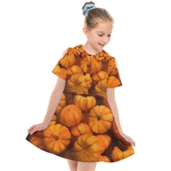 Mini Pumpkins Kids  Short Sleeve Shirt Dress by bloomingvinedesign