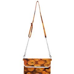 Mini Pumpkins Mini Crossbody Handbag by bloomingvinedesign